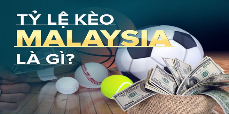 Cách đọc và hiểu bảng tỷ lệ kèo Malaysia Net88