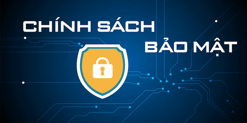 Quyền lợi và trách nhiệm của người chơi trong chính sách bảo mật net88